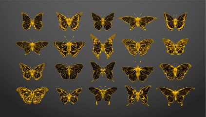 Set of gold butterflies, ink silhouettes. Glowworms, fireflies and butterflies icons isolated on black background. Hand drawn separated editable elements, Vector illustration.