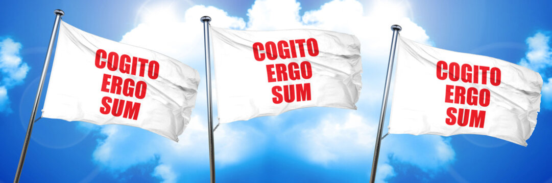 cogito ergo sum, 3D rendering, triple flags