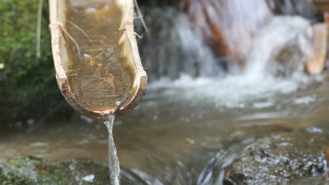 water is flowing from the bamboo tube in the tropical stream