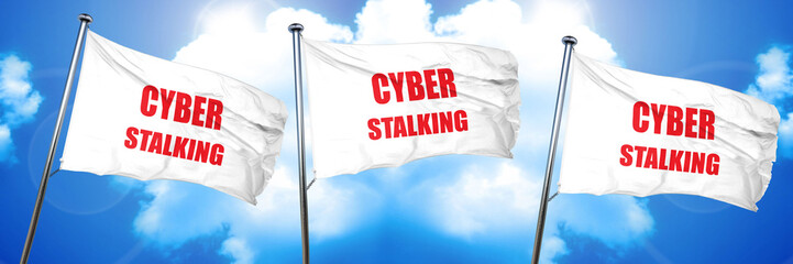 Cyber stalking background, 3D rendering, triple flags