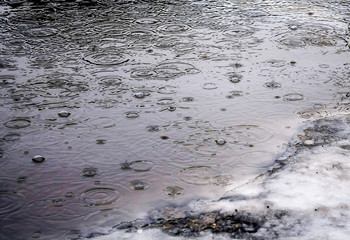 muddy puddle in the rain