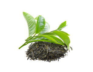 Dried greentea leaf on white background