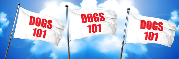 dogs 101, 3D rendering, triple flags