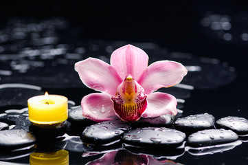 Macro of gorgeous orchid and yellow candle on black stones 