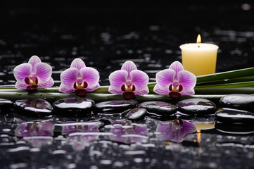 tranquil spa scene-pink orchid and candle with plant