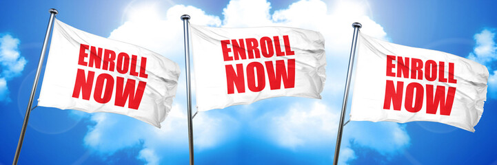 enroll now, 3D rendering, triple flags