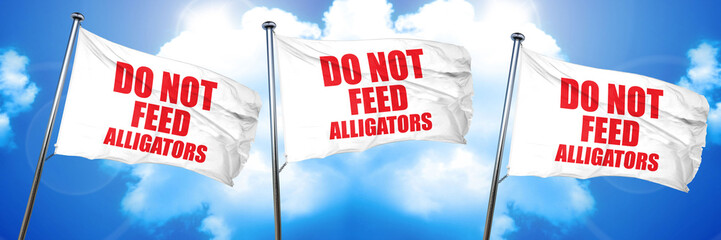 do not feed alligators, 3D rendering, triple flags