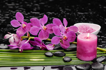 Still life with Pink orchid with black stones with candle ,,salt in bowl green plant