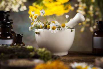 Assorted natural medical herbs and mortar on wooden table background
