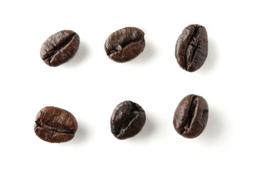 coffee beans isolated