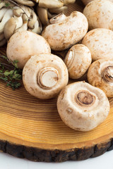 champignons and oyster mushrooms.