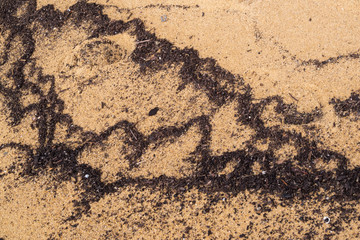 Dramatic tidal patterns on wet sand at beach