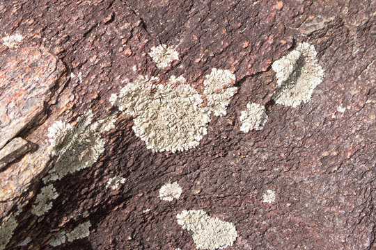 Rough rocks with lichen growth