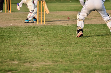 Obraz premium Boys are playing cricket 