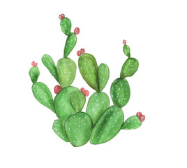 Watercolor painting seamless pattern with hand drawn cactus and palm garden. © ramiia