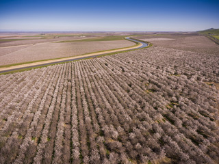 Aerial of California Adueduct