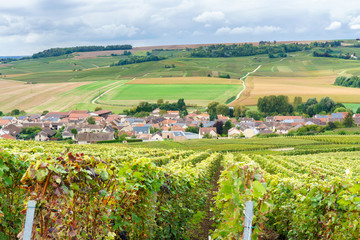 Fototapeta na wymiar Vintage countryside at Reims, Reims is a city in northeastern France's historical Champagne, Champagne Vineyards at sunset, Montagne de Reims, France