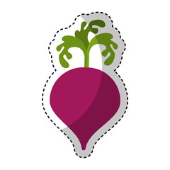 onion fresh vegetable isolated icon vector illustration design