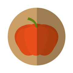 pumpkin fresh vegetable isolated icon vector illustration design