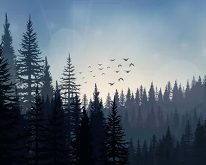 Selbstklebende Fototapete Wald im Nebel Kiefernwaldlandschaftshintergrund