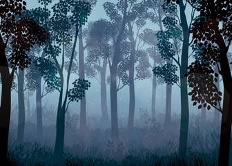 Naklejka premium Forest at night background