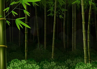 Fototapeta premium Background bamboo forest at night