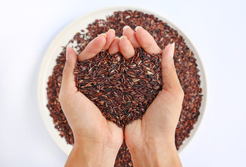 Fototapeta premium Hand holding Jasmine red rice in shape of love on white plate against white background