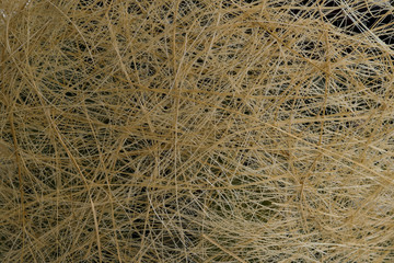 The pile of straw closeup.