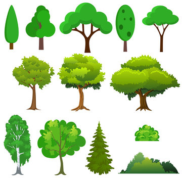 Illustration of a set different trees