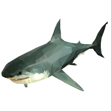 Polygon white shark