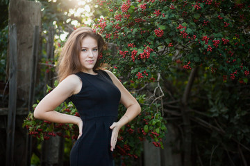 Beautiful young woman in black dress posing near tree in a countryside