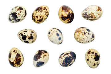 Quail egg isolated on white background