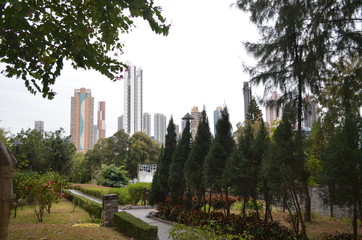 Fototapeta na wymiar Парк, Гонконг, Китай