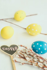 Easter eggs, spring flowers and willow on white background