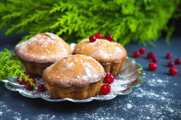 Fresh baked muffins, cranberry and nuts on a dark background and the branch tree