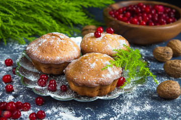 Fresh baked muffins, cranberry and nuts on a dark background and the branch tree