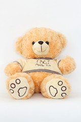 Brown teddy bear on a white background.