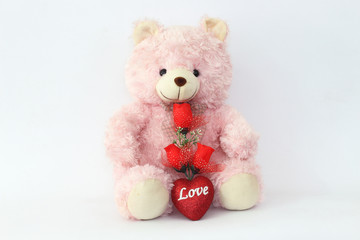 Teddy bears, pink and red roses on a white background.