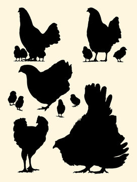Hen, roosters and chickens silhouette. Good use for symbol, logo, mascot, web icon, sign, or any design you want.