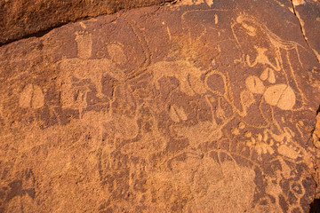 Prehistoric bushman rock engravings at Twyfelfontein, Namibia