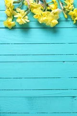 Door stickers Narcissus Border from yellow narcissus or daffodil flowers on aquamarine  wooden background.