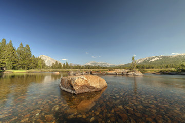 Yosemite Meadow - Crystal clear river in Yosemite National Park.