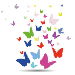 vector, beautiful background with butterflies,
template
