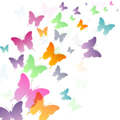 vector, beautiful background with butterflies,
template