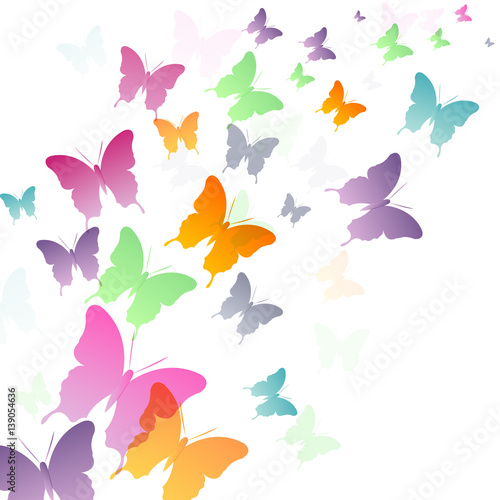 "vector, beautiful background with butterflies, template" Stock image
