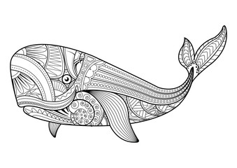 Obraz premium Vector illustration of whale coloring page