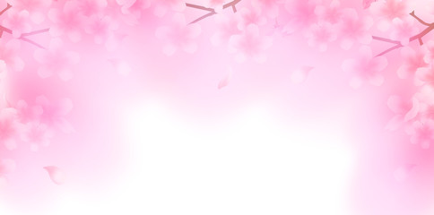 桜　春　花　背景 