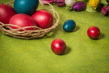 Fototapeta na wymiar Easter eggs and tulips on green background