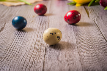 Easter eggs and tulips on wooden background