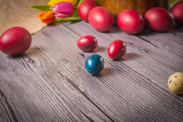 Easter eggs and tulips on wooden background